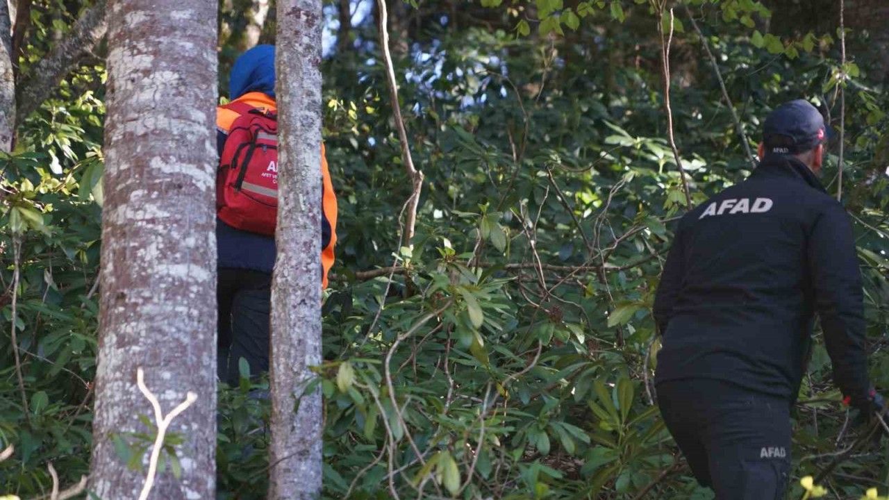 Milli parkta kaybolan vatandaşı arama çalışmaları 9’uncu gününde sürüyor