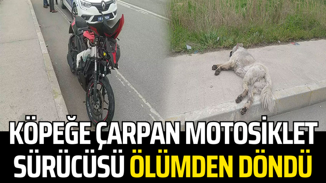 Köpeğe çarpan motosiklet sürücüsü ölümden döndü