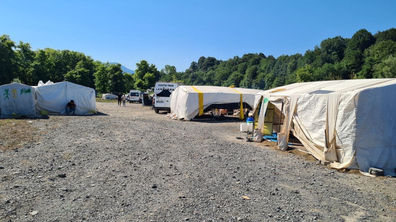 Tarım işçileri fındık hasadına çadırlarda başladı! Aileler konteyner istiyor