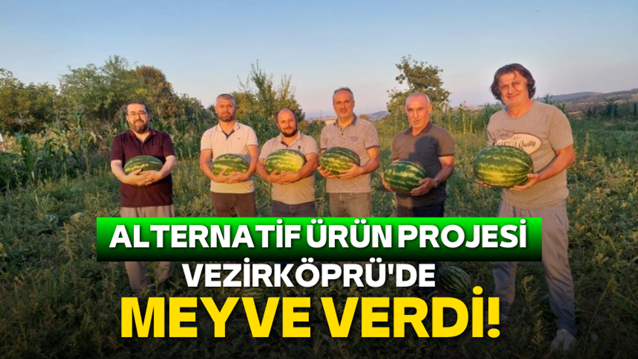 Alternatif ürün projesi Vezirköprü'de meyve verdi!