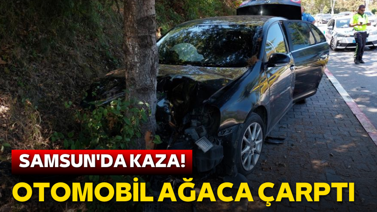 Samsun'da kaza! Otomobil ağaca çarptı