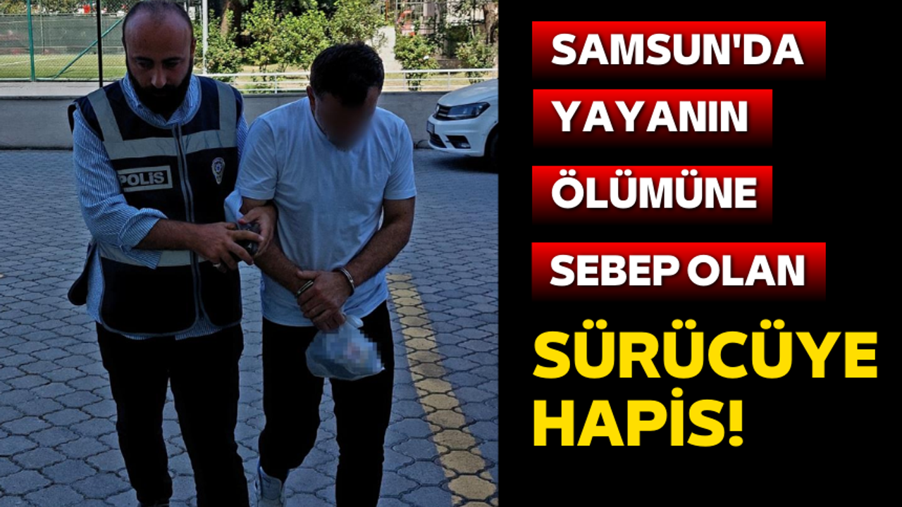 Samsun'da yayanın ölümüne sebep olan sürücüye hapis cezası!