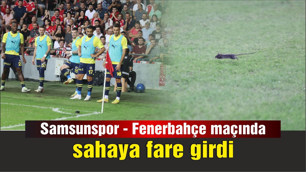 Samsunspor - Fenerbahçe maçında sahaya giren fare renkli görüntüler oluşturdu