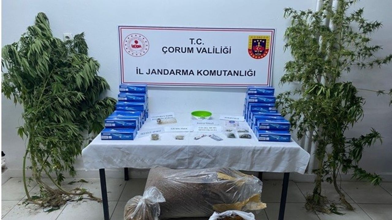 Jandarma’dan uyuşturucu operasyonu: 4 gözaltı