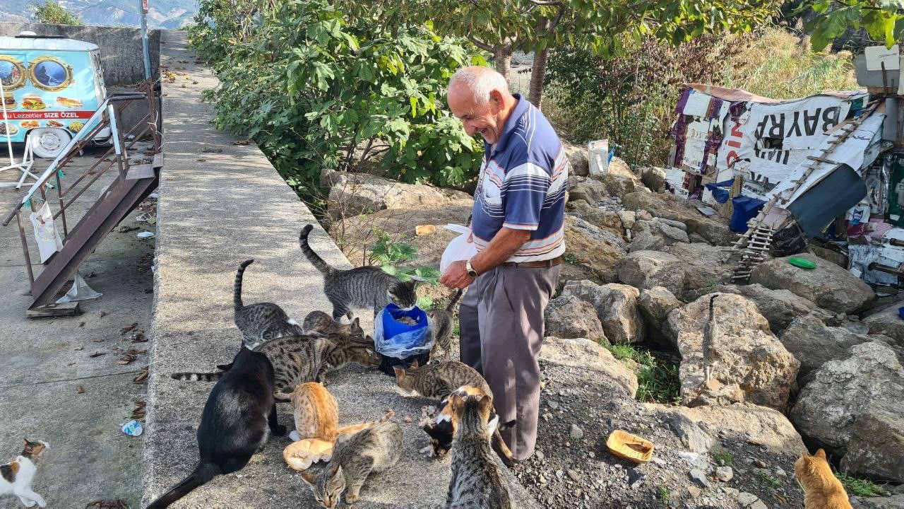 Emekli işçi, 100 kedinin ’dedesi’ oldu
