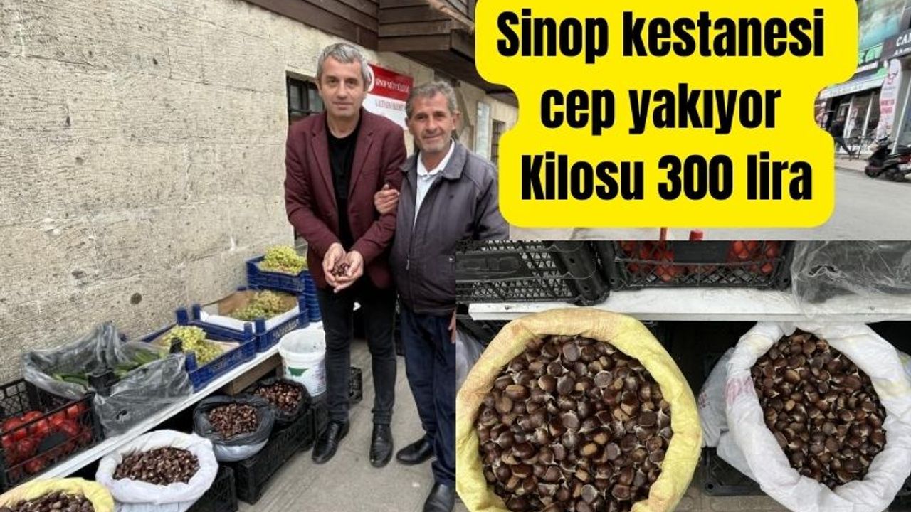 Sinop kestanesinin kilosu 300 lira ile cep yakıyor