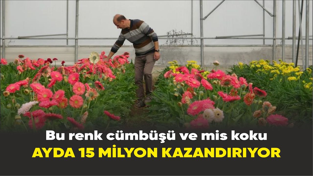 Serada üretilen çiçeklerden ayda 15 milyon lira kazanç