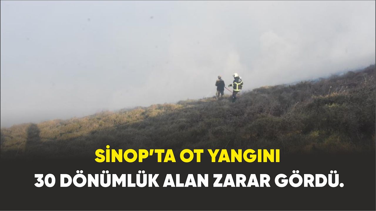 Sinop’ta ot yangını: 30 dönümlük alan zarar gördü.