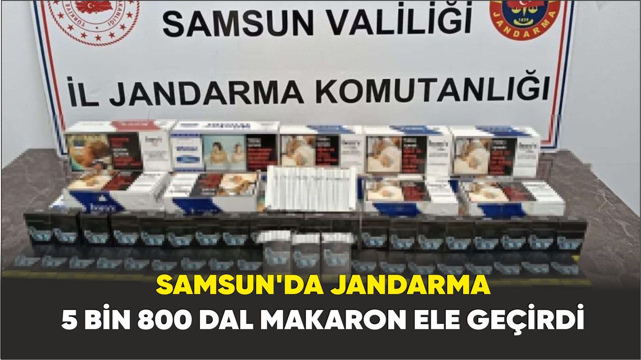 Samsun'da Jandarma 5 bin 800 dal makaron ele geçirdi