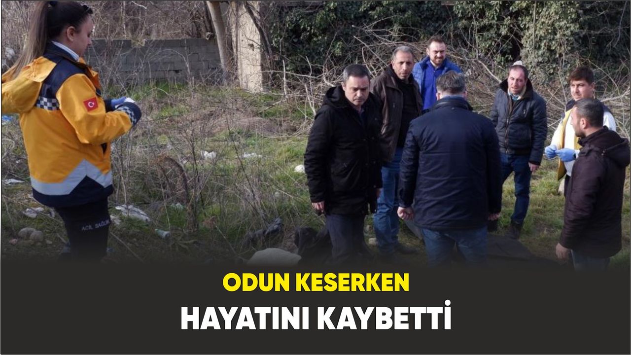 Edirne’de odun keserken hayatını kaybetti