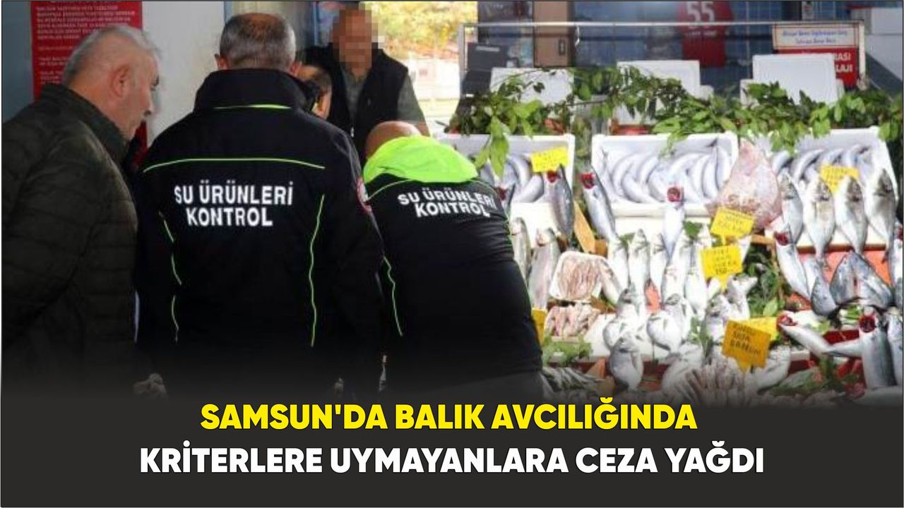 Samsun'da balık avcılığında kriterlere uymayanlara ceza yağdı