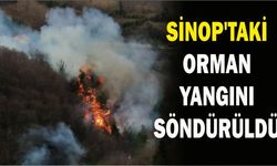 Sinop’taki orman yangını söndürüldü