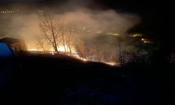 Türkeli’de orman yangını