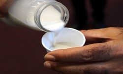 Veganlar için ‘kenevir sütü’