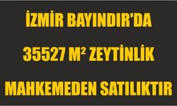 İzmir Bayındır'da 35527 m² zeytinlik mahkemeden satılıktır