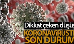 Son 24 saatte korona virüsten 66 kişi hayatını kaybetti