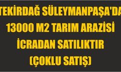 Tekirdağ Süleymanpaşa'da 13000 m2 tarım arazisi icradan satılıktır (çoklu satış)