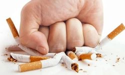 Prof. Dr. Akbulut: Sigara ve alkol kanser açısından risk faktörleridir