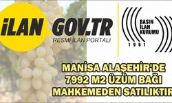 Manisa Alaşehir'de 7992 m2 üzüm bağı mahkemeden satılıktır