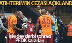 PFDK'dan Fatih Terim'e 6 maç ceza