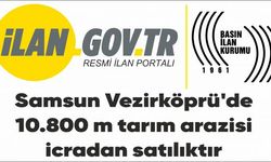 Samsun Vezirköprü'de 10.800 m² tarım arazisi icradan satılıktır
