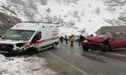 Artvin’de hasta taşıyan ambulans kaza yaptı: 2 yaralı