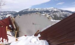 Artvin’de kar yağışı nedeniyle 5 besi ahırın çatısı çöktü