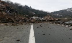 Rize’nin Hemşin ilçesinde meydana gelen heyelan nedeniyle karayolu 2 saat ulaşıma kapandı