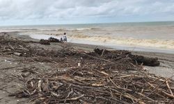 Aşırı yağışlarla gelen ağaç ve çöpler Akçakoca’da sahile vurdu