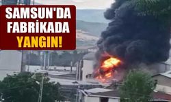 Samsun’da orman ürünleri fabrikasında yangın