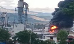 Samsun’da orman ürünleri fabrikasındaki yangın kontrol altına alındı