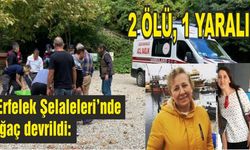 Sinop Erfelek Şelaleleri’nde ağaç devrildi: 2 ölü, 1 yaralı