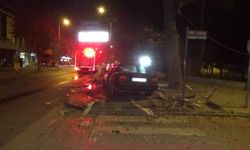 Otomobil ağaca çarptı, şoförü aracı bırakıp kaçtı