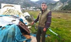 Sinop’ta limanda demirleyen balıkçılar 6 köpeği ölü buldu