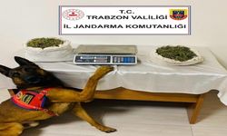 Trabzon’da uyuşturucu operasyonu: 1 tutuklama