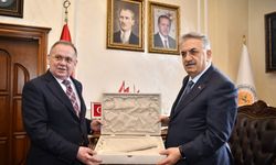 AK Parti Genel Başkan Yardımcısı Yazıcı: “ Bu çalışmalar takdire şayan”