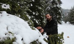 Bolu’da Nisan ayında kar sürprizi