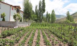 Gurbetçi vatandaş ata topraklarına 500 adet meyve ağacı dikti