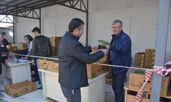 Sinop’ta 80 bin sebze fidesi dağıtıldı