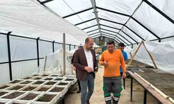 Tosya Belediyesi ilçeyi botanik bahçesine kavuşturacak