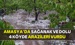 Amasya’da sağanak ve dolu 4 köyde arazileri vurdu