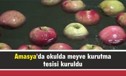 Amasya'da okulda meyve kurutma tesisi kuruldu