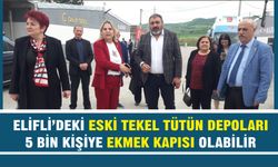 CHP’li Hancıoğlu: “Köstek değil, destek olsunlar''
