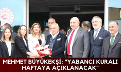 Mehmet Büyükekşi: "Yabancı kuralı haftaya açıklanacak"