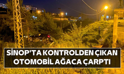 Sinop'ta kontrolden çıkan otomobil ağaca çarptı