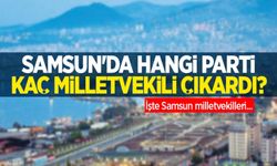 Samsun'da Vekil Sayıları