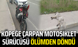 Köpeğe çarpan motosiklet sürücüsü ölümden döndü