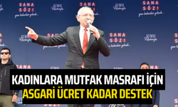 Kılıçdaroğlu "Kadınlara mutfak masrafı için asgari ücret kadar destek"