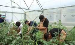 Okullarda kurulan seralarla çocuklara tarım eğitimi veriliyor