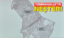 Atakum Belediyesi'nden Yenimahalle'ye neşter !